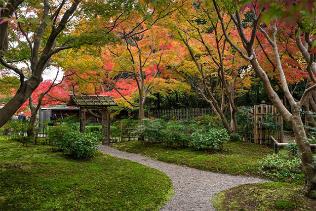 万博記念公園 日本庭園