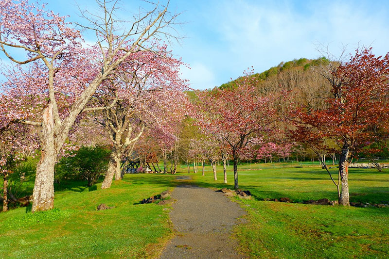 別保公園（釧路町）